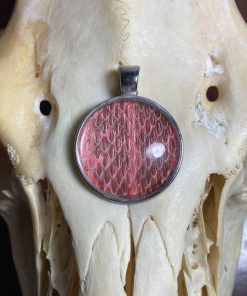 Snake Shed Amulet Necklace: Red Oddity Jewelry