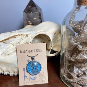 Snake Shed Necklace, Protection Necklace, Handmade Jewelry, Oddity Necklace