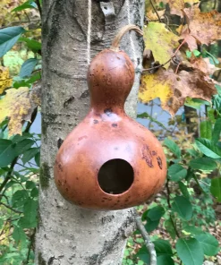 Wildcraft