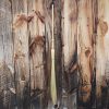 Cobwebber Broom, Pine Handle, Hand Broom, Cobweb Broom